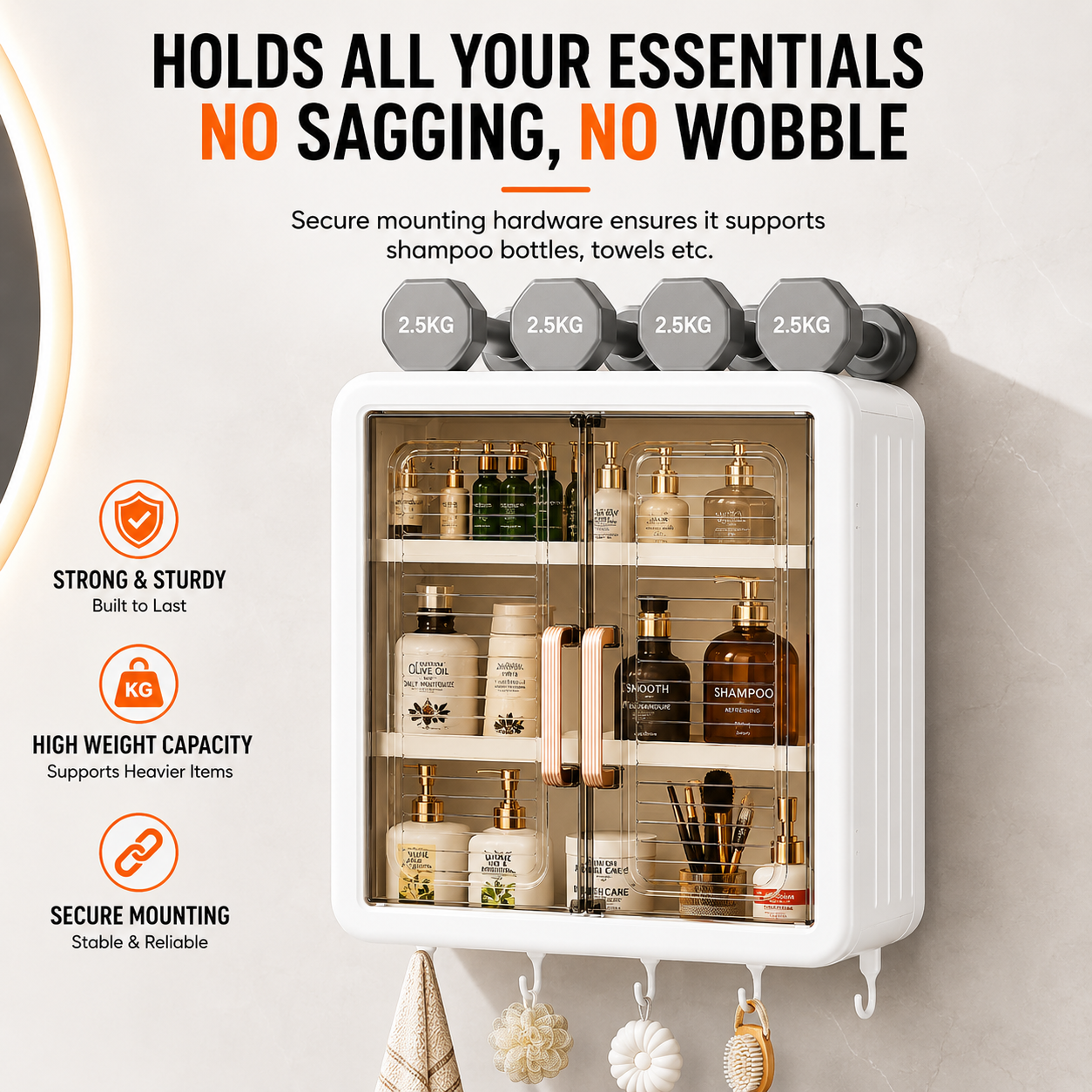 Wall Mounted Shelf Storage Cabinet